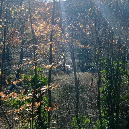 Casale Ormano Bed and breakfast 3*