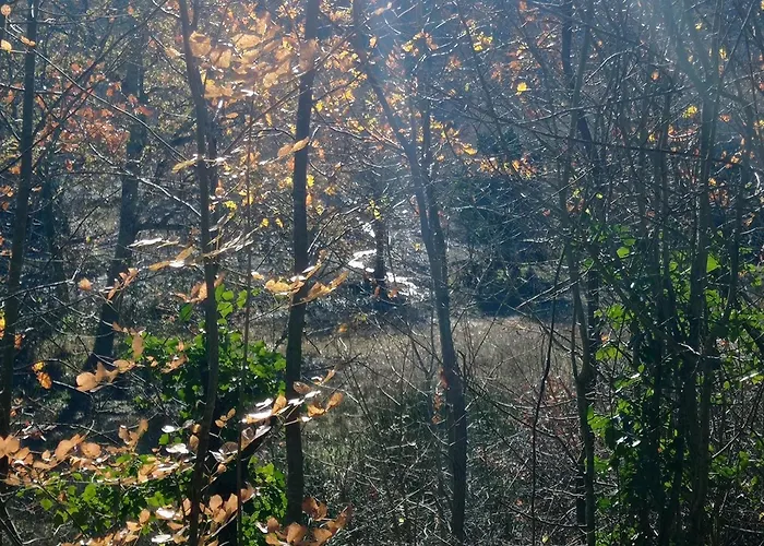 Casale Ormano Alojamento de Acomodação e Pequeno-almoço 3*