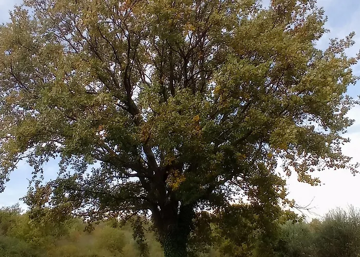 Casale Ormano Alojamento de Acomodação e Pequeno-almoço